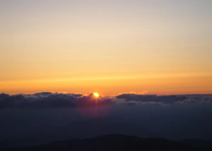 Апартаменты Heidi *